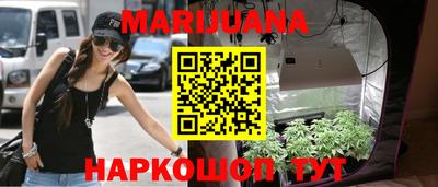 прущие грибы Кингисепп