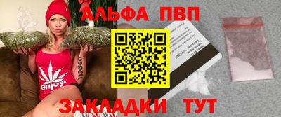 прущие грибы Кингисепп