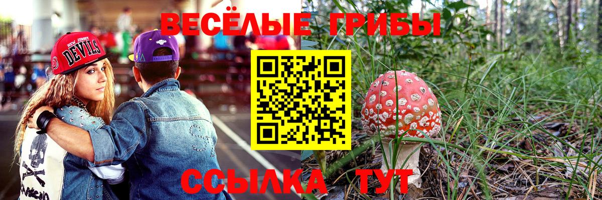 Галлюциногенные грибы ЛСД Кувандык