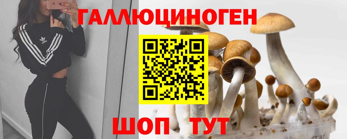 Псилоцибиновые грибы мицелий  Вход с VPN  Кувандык 
